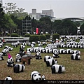 20150206 142 (Medium).jpg