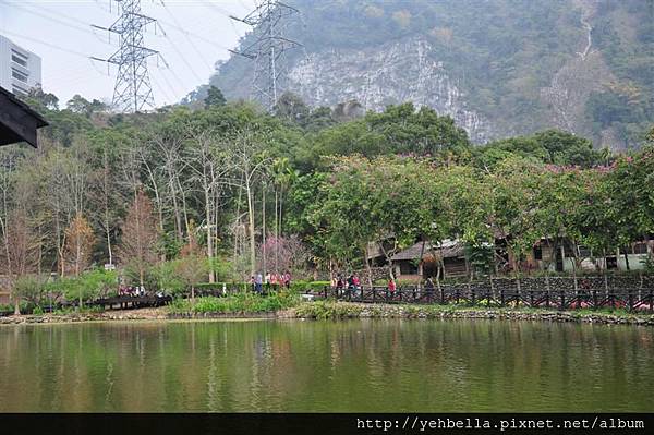 20150217 021 (Medium).jpg