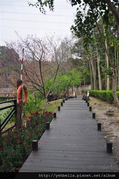 20150217 038 (Medium).jpg