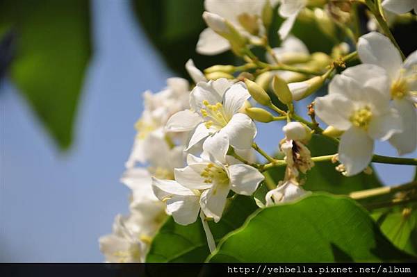 20150405 013 (Medium).jpg