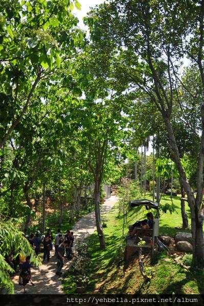 20150405 054 (Medium).jpg