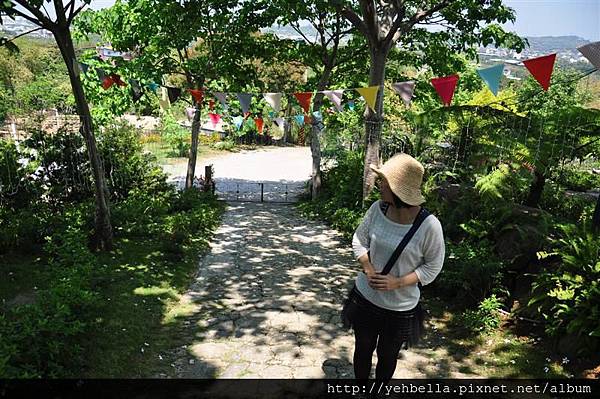 20150405 073 (Medium).jpg