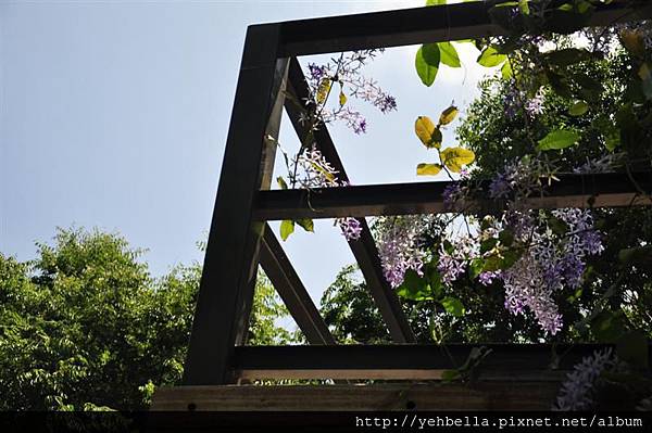 20150405 075 (Medium).jpg