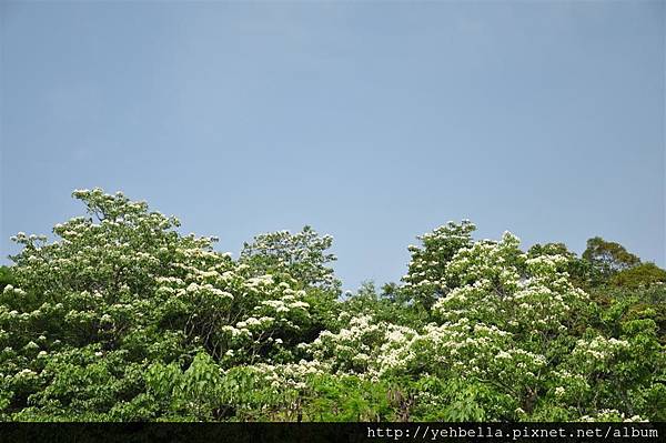 20150428 001 (Large).jpg