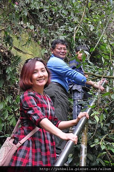 20150308 033 (Large).jpg