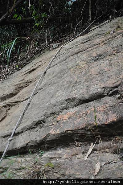 20150308 047 (Large).jpg