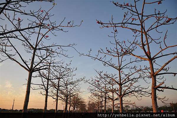 20150403 035 (Large).jpg