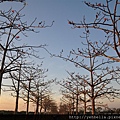 20150403 035 (Large).jpg