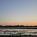 20150403 036 (Large).jpg
