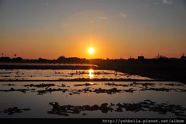 20150403 043 (Large).jpg