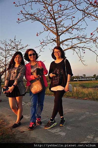 20150403 042 (Large).jpg