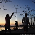 20150403 083 (Large).jpg