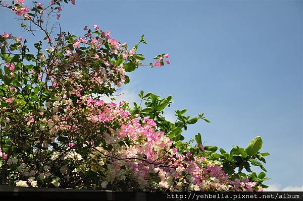 201500516 189 (Large).jpg