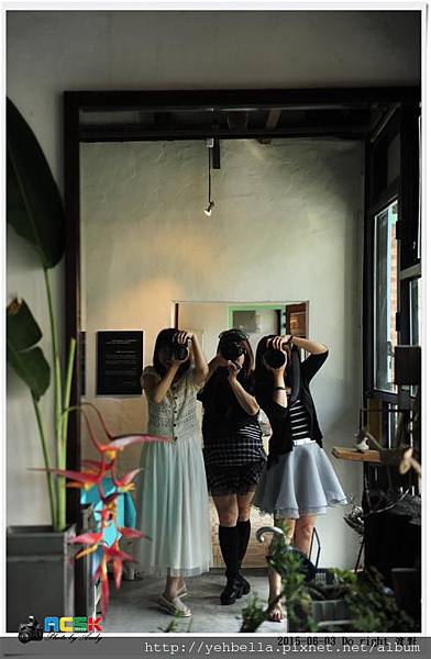 DSC_1240 (Large).JPG