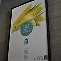 20150804 012 (Large).jpg