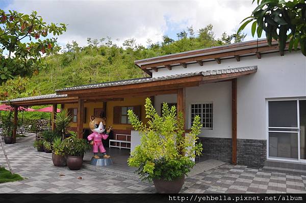 20150812 220 (Large).jpg