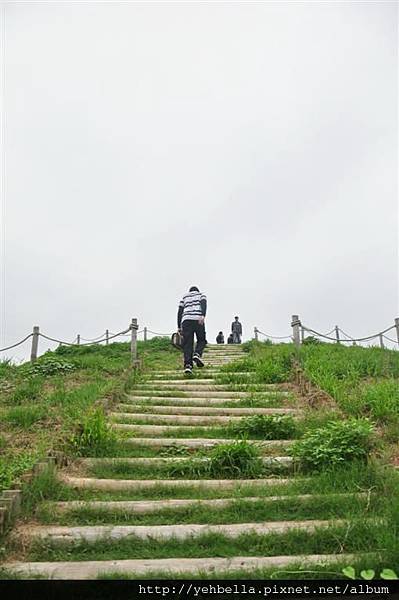 20150822 150 (Large).jpg