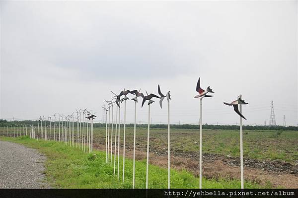 20150822 155 (Large).jpg