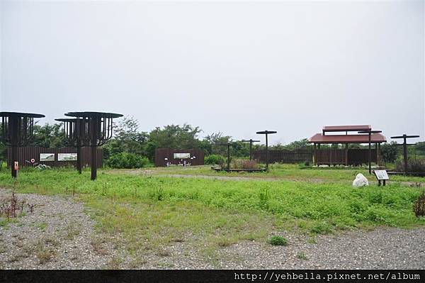 20150822 157 (Large).jpg