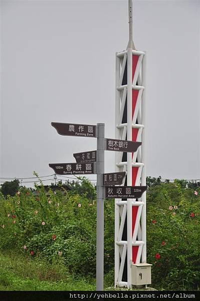 20150822 168 (Large).jpg