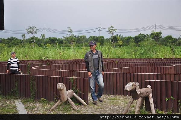 20150822 176 (Large).jpg