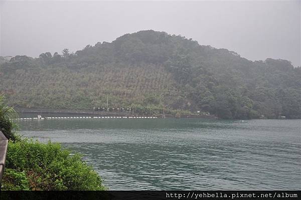 20150823 061 (Large).jpg