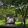 20150919-20 339 (Large).jpg