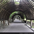 20150919-20 350 (Large).jpg