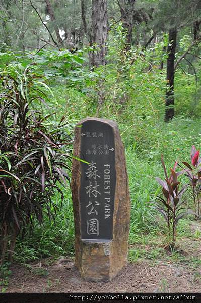 20150919-20 354 (Large).jpg
