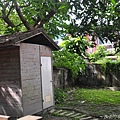 46.jpg