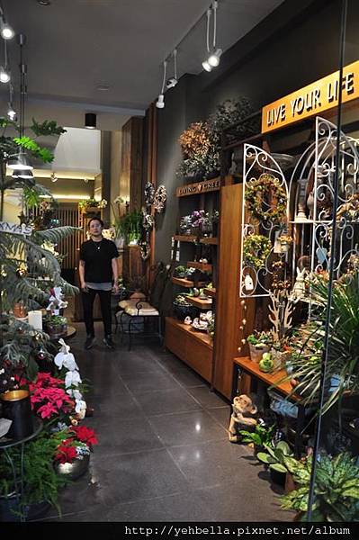 DSC_0010 (Large).JPG