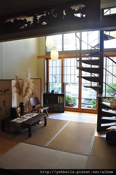 DSC_0080 (Large).JPG