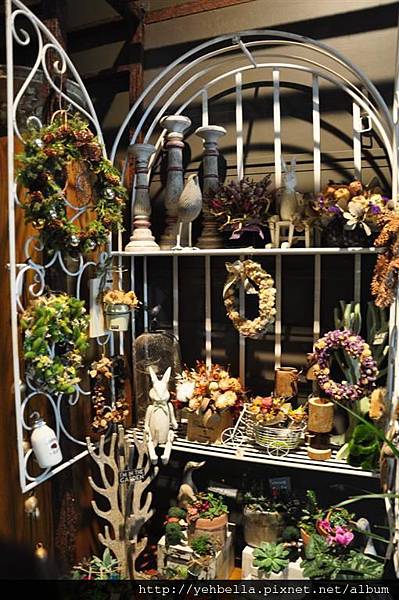 DSC_0104 (Large).JPG