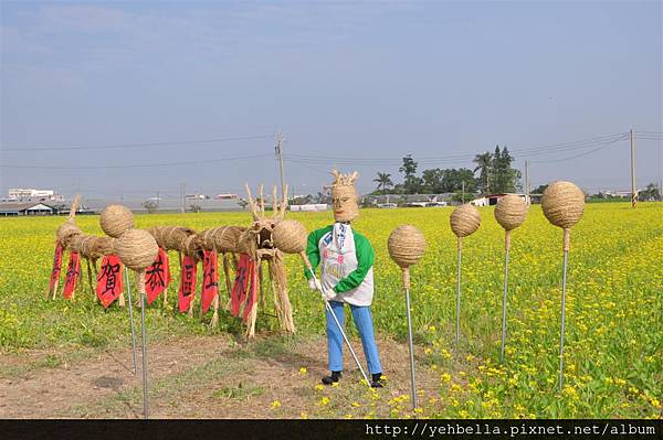 20170117_069 (Large).JPG