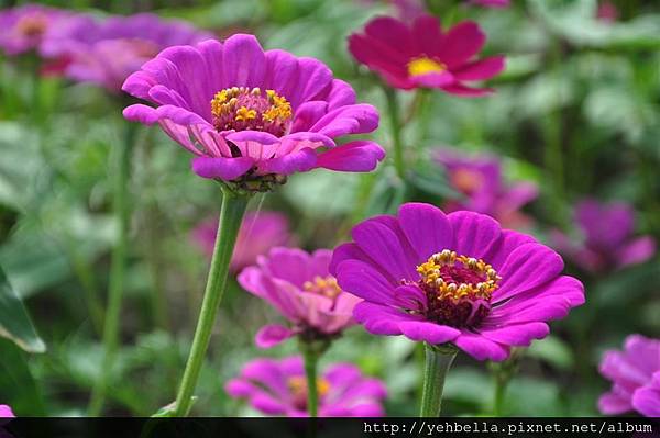 20170117_100 (Large).JPG