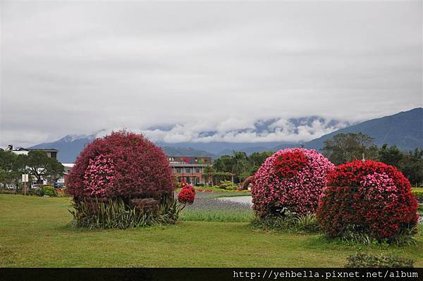 20170120-21_612 (Large).JPG