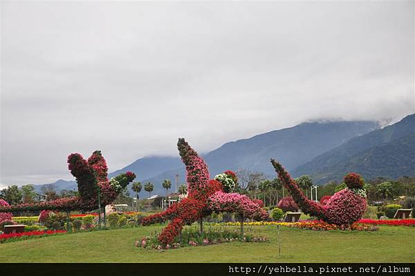 20170120-21_630 (Large).JPG