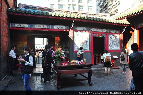 DSC_0050 (Large).JPG