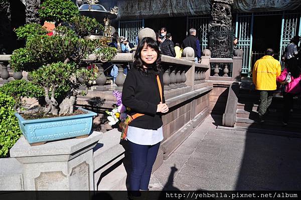 DSC_0065 (Large).JPG