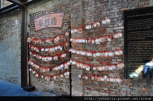 DSC_0130 (Large).JPG