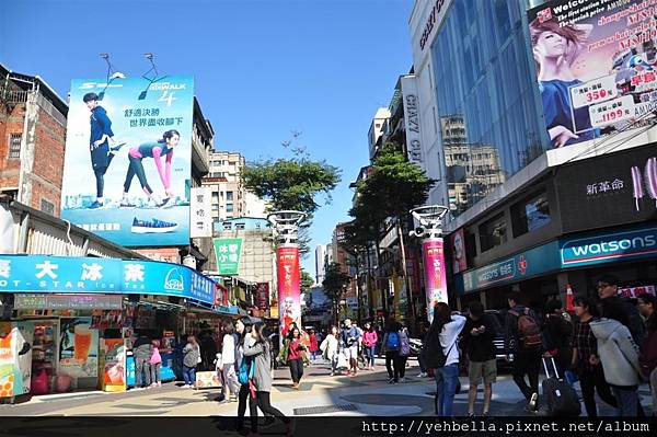 DSC_0239 (Large).JPG