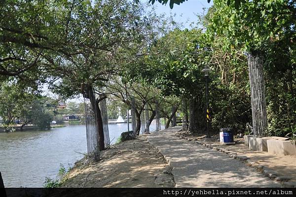 DSC_0046 (Large).JPG