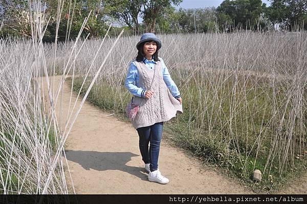 DSC_0074 (Large).JPG