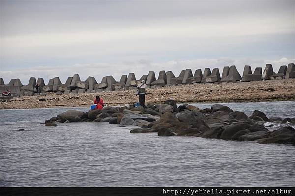 DSC_0165 (Large).JPG