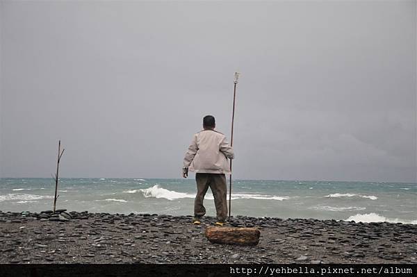 DSC_0243 (Large).JPG