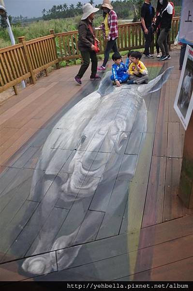 20170228_068 (Large).JPG