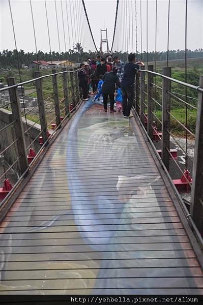 20170228_075 (Large).JPG