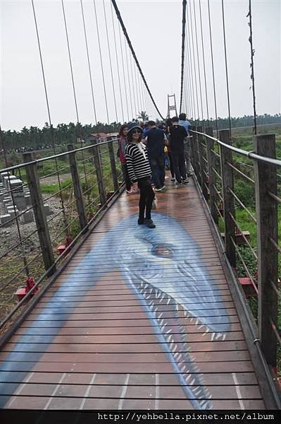 20170228_078 (Large).JPG