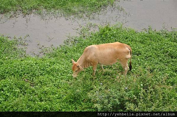 20170228_091 (Large).JPG