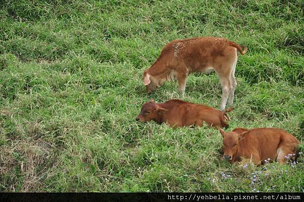 20170228_096 (Large).JPG